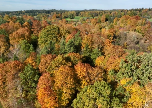 Nākamās nedēļas vidū Latvijā kļūs siltāks, prognozē Latvijas Vides, ģeoloģijas un meteoroloģijas centra sinoptiķi.