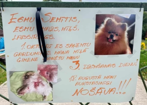 Jēkabpilī saistībā ar Semīša nogalināšanu notika arī kluso plakātu akcija, kurā tika pieminēti mājas mīluļi, kurus tuvējā apkārtnē noslepkavoja kāds neģēlis.