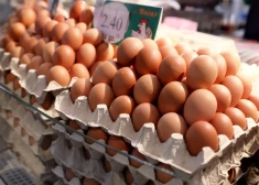 С 1 декабря в Латвии заработает онлайн-сервис для сравнения цен на продукты