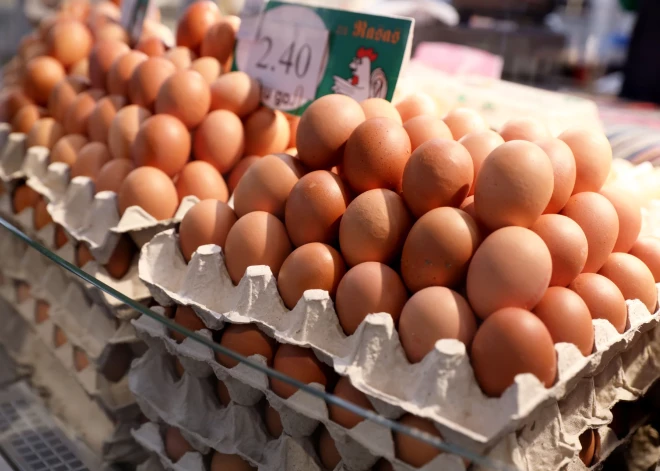 С 1 декабря в Латвии заработает онлайн-сервис для сравнения цен на продукты