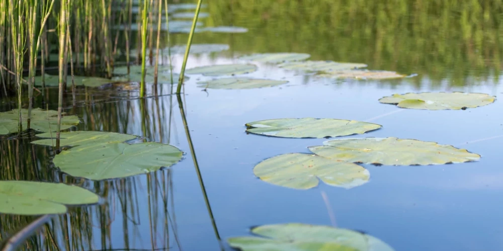 Иллюстративное фото.