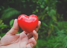 Mazas meitiņas tētis Jurijs no Augšdaugavas novada nesen zaudēja sievu. Nu viņa paša dzīvība ir mata galā