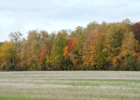 Иллюстративное фото.