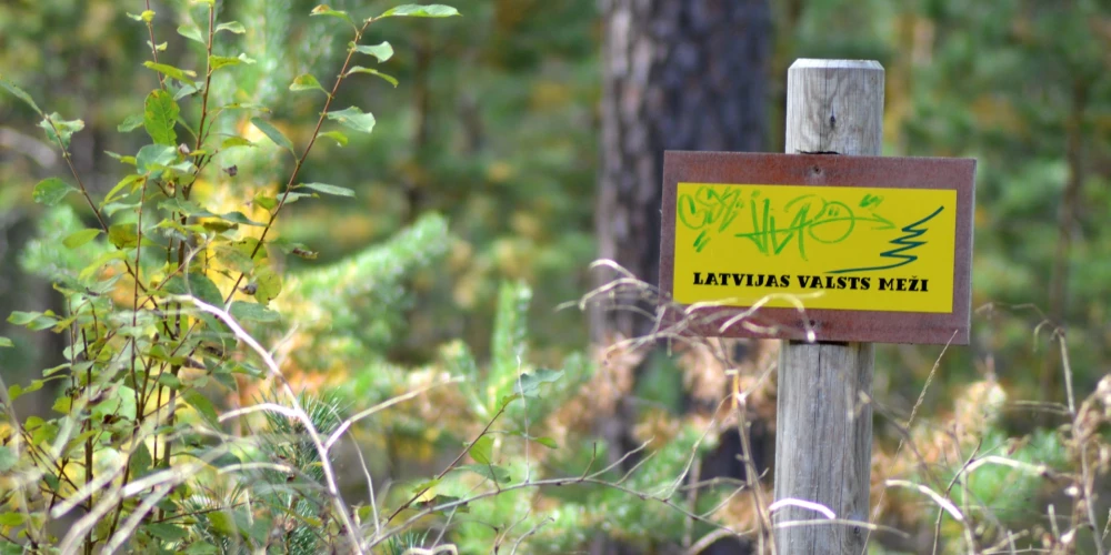 Коалиция не едина в оценке поддержки деревообрабатывающей отрасли.