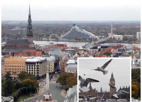 Skats uz Rīgu un Lielbritānijas parlamenta ēku (foto: Evija Trifanova / LETA / Scanpix / ZUMAPRESS.com; kolāža: jauns.lv)