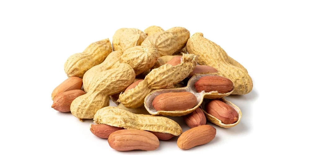 60 тысяч детей в США избежали аллергии на арахис благодаря раннему прикорму.