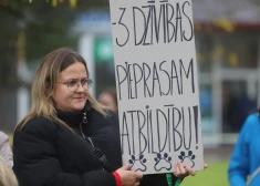 "Nevienam nav tiesību nošaut suni pat bezatbildīga saimnieka suni" – Veterinārārstu biedrība par nošauto suņu lietu