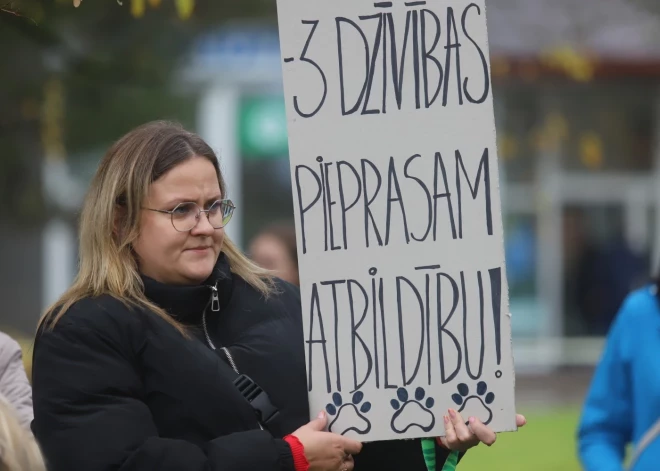 "Nevienam nav tiesību nošaut pat bezatbildīga saimnieka suni" – Veterinārārstu biedrība par nošauto suņu lietu