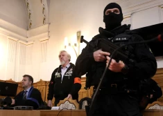 Slovākijā pasludina spriedumu dzejniekam, kurš mēģināja nošaut premjerministru Robertu Fico