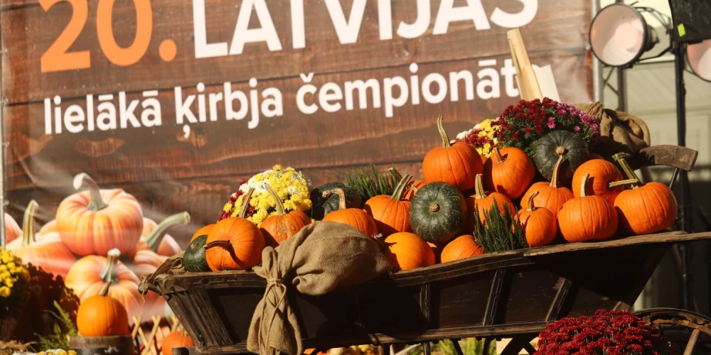 Rīgā pie Vērmanes dārza skatuves 21. oktobrī no plkst. 13 līdz 15 noritēja Latvijas lielākā ķirbja čempionāts.