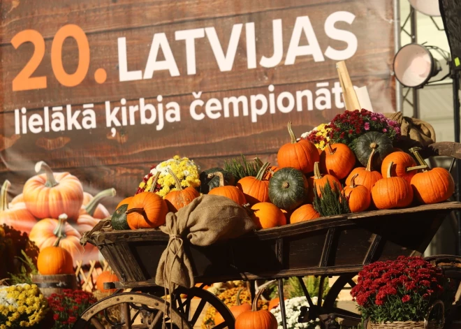 Rīgā pie Vērmanes dārza skatuves 21. oktobrī no plkst. 13 līdz 15 noritēja Latvijas lielākā ķirbja čempionāts.