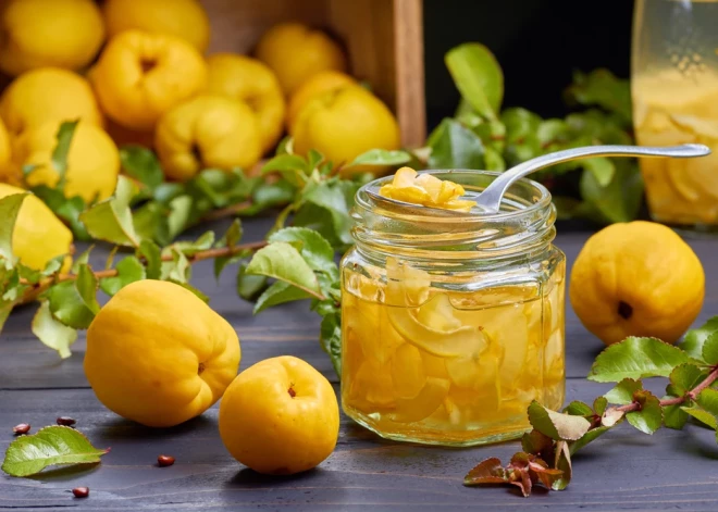 Četras receptes, kā iekonservēt veselīgās un gardās cidonijas