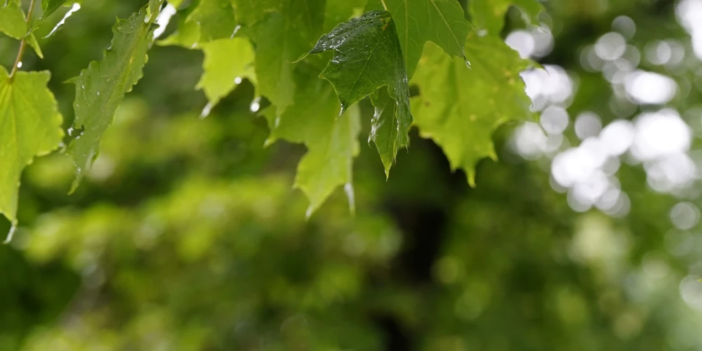 Trešdien nav gaidāmi lieli nokrišņi.