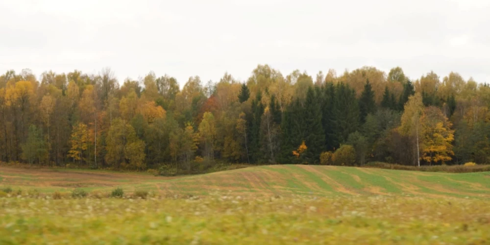 Ceturtdien Latvijā palaikam līs. 