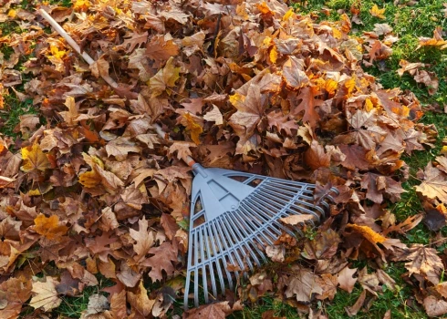 Trūdošās lapas daudzām sugām dod mājvietu un barību, turklāt dabas procesu kārtība nodrošina lapu sadalīšanās procesu un tajās esošo barības vielu atgriešanos augsnē.