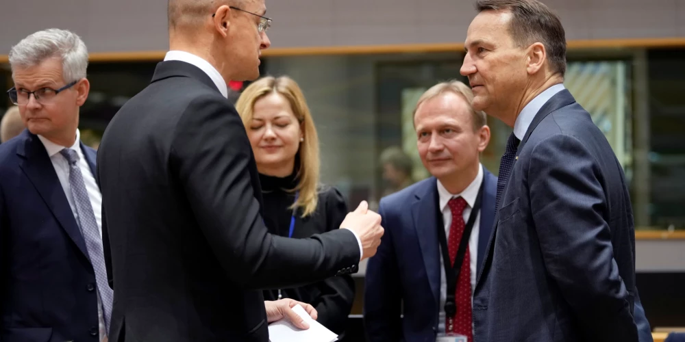 Ungārijas ārlietu ministrs Pēters Sijārto (pa kreisi) un Polijas ārlietu ministrs Radoslavs Sikorskis (foto: Scanpix / AP)