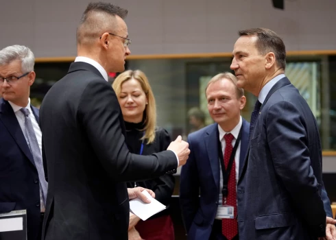 Ungārijas ārlietu ministrs Pēters Sijārto (pa kreisi) un Polijas ārlietu ministrs Radoslavs Sikorskis (foto: Scanpix / AP)