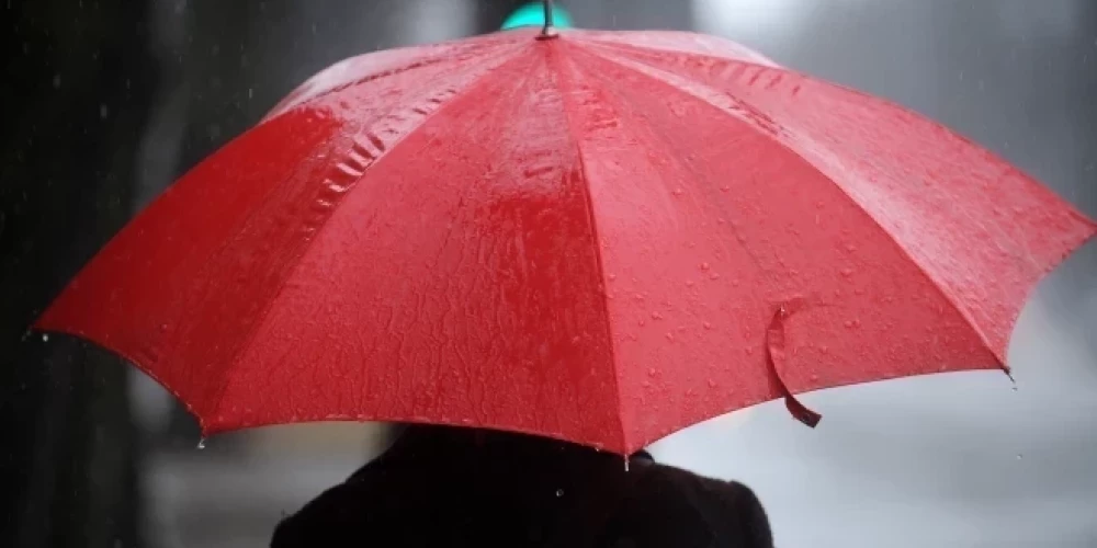 Иллюстративное фото.