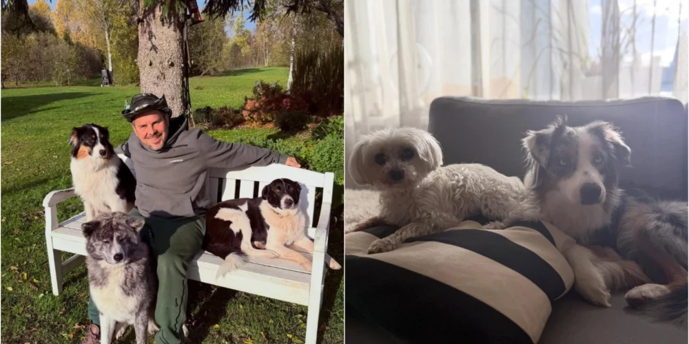 Slavenības tic, ka #gaismauzvarēstumsu.