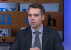 Историк Эдвардс Крустс.