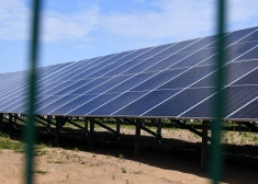 Датские пенсионеры на свои деньги подтолкнут Латвию к ее климатическим целям