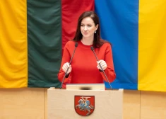 Премьер Литвы: "Россия ведет себя как террористическое государство"