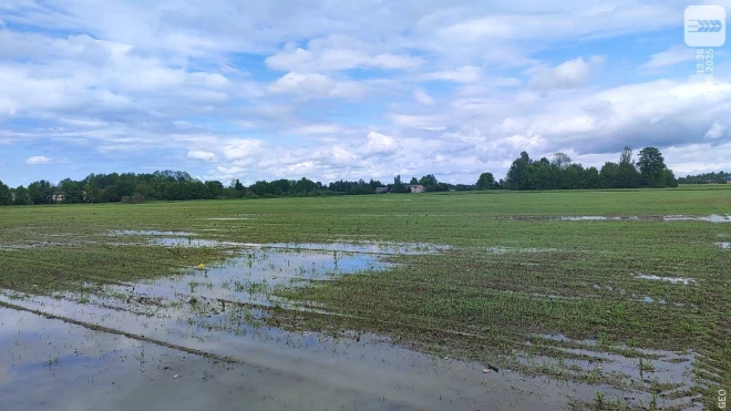 Sakarā ar šogad piedzīvotajiem nelabvēlīgajiem laika apstākļiem, tiešmaksājumi lauksaimniekiem šogad tiek izmaksāti agrāk.
