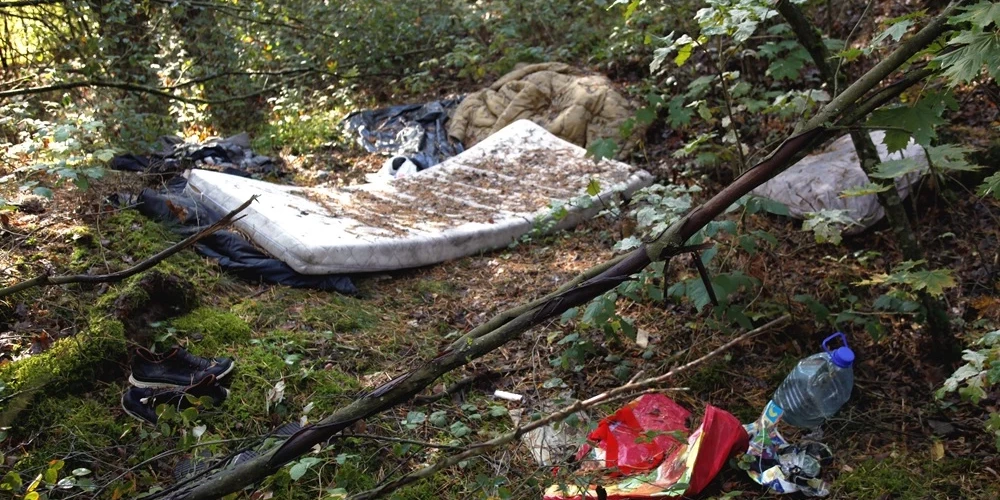 Многие еще не поняли, что лес - это не бесплатная свалка.