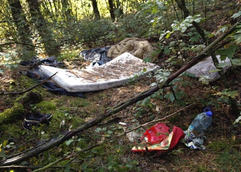 Многие еще не поняли, что лес - это не бесплатная свалка.