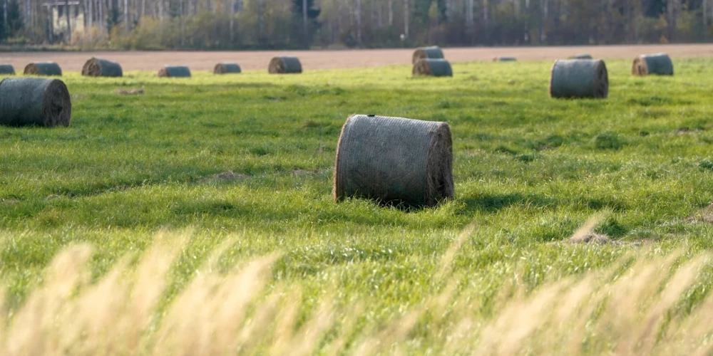 Brīvdienās nokrišņi mitēsies un gaidāms salīdzinoši sausāks laiks.