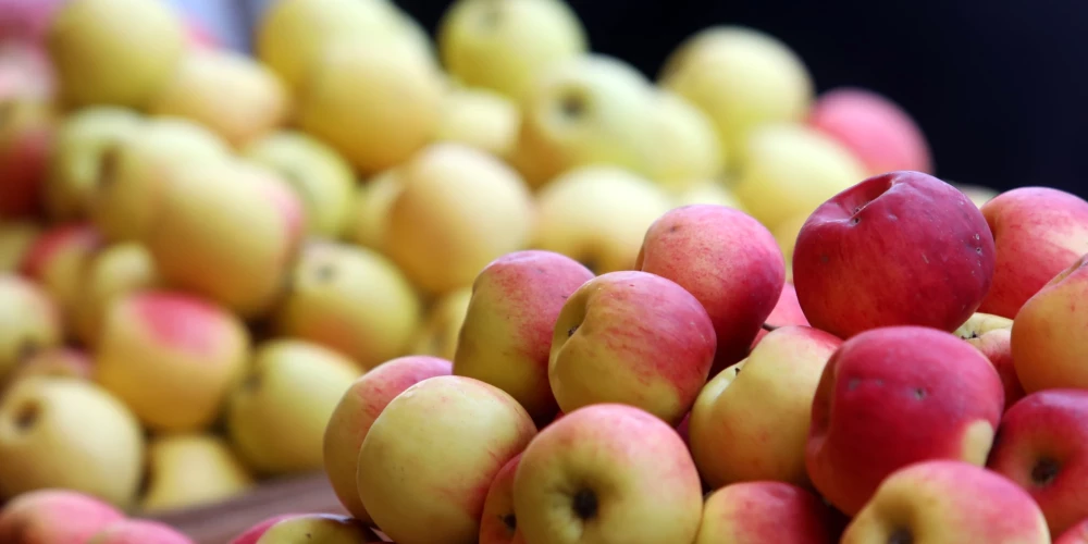 Иллюстративное фото.