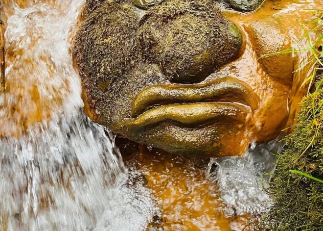 Kristīne norāda, ka kāds par rudeni nepavisam nav sajūsmā.
