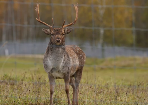 Иллюстративное фото.