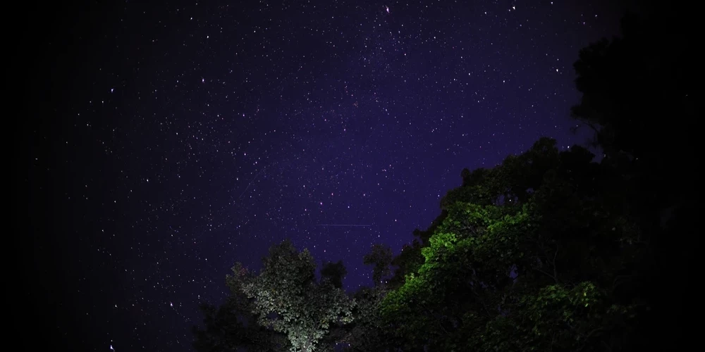 Glābēji palīdz no meža naktī izkļūt četriem cilvēkiem.