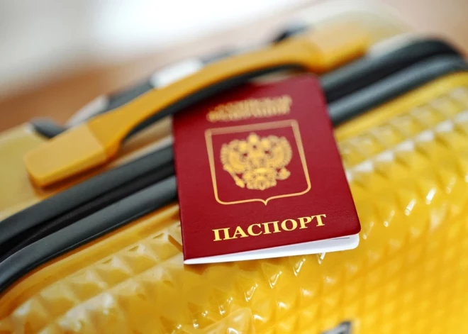 В ЕС массово едут гибридные туристы из РФ: авиабилеты стоят смешные деньги, с визами тоже проблем нет