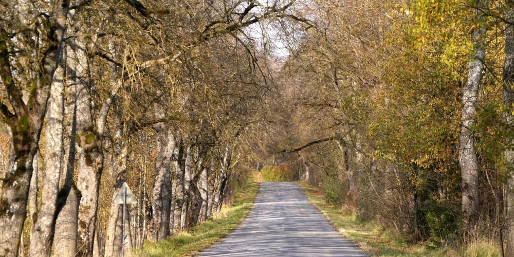 Trešdien gaidāms nedaudz saulaināks laiks. 