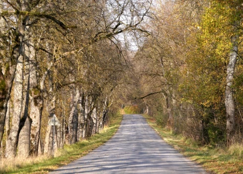 Trešdien gaidāms nedaudz saulaināks laiks. 
