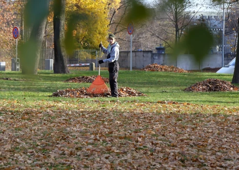 Синоптики обещают самое тёплое начало ноября за годы.