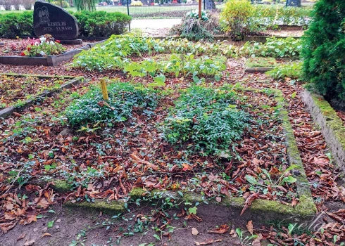 Septiņu gadu laikā Jelgavā ir aktētas 264 nekoptas kapavietas, kuras pēc vairākkārtējiem aicinājumiem to kopēji nav sakopuši