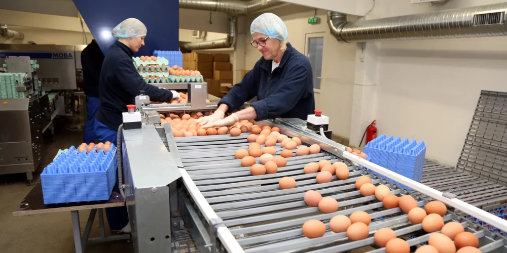 Ilustratīvs attēls.