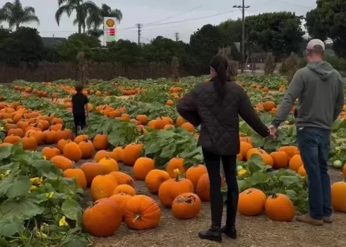 Princis Harijs un Megana Mārkla ar bērniem ķirbju laukā.