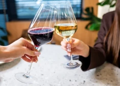 Arvien populārāki kļūst bezalkoholiskie vīni, bet - vai tas tiešām ir vīns vai gāzēts "pļumpūdens"? Skaidro vīnzinis Jānis Kaļķis