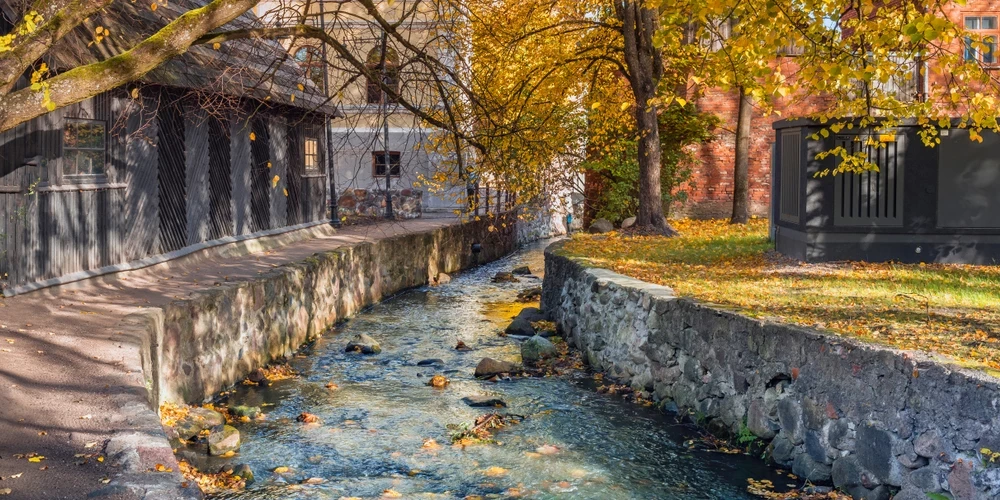 Кулдига заслужила юридическую защиту.