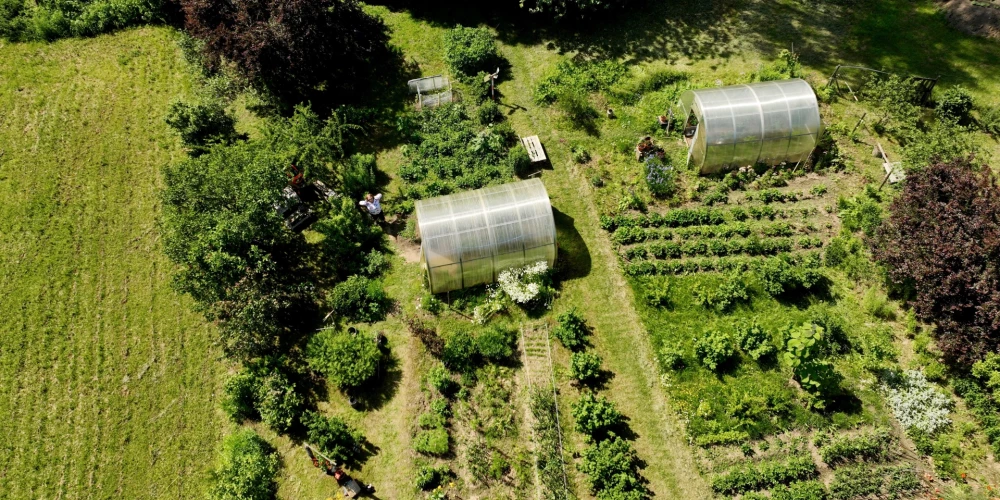 В Латвии фермеры соблюдают стандарты до последней грядки.