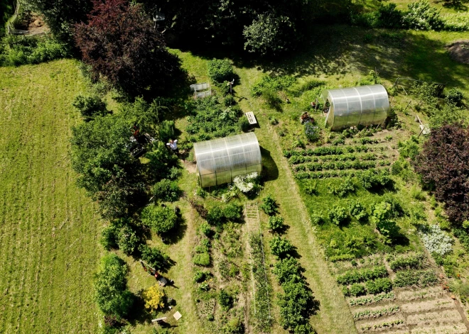 Инспекторы проверили почти 2400 полей Латвии и не нашли ничего подозрительного