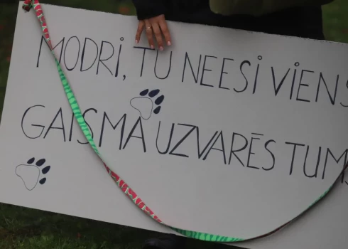 Bauskas novada domes slēgtajā daļā skatīs ziņojumu par policistu rīcību saistībā ar suņu nošaušanu Brunavas pagastā.