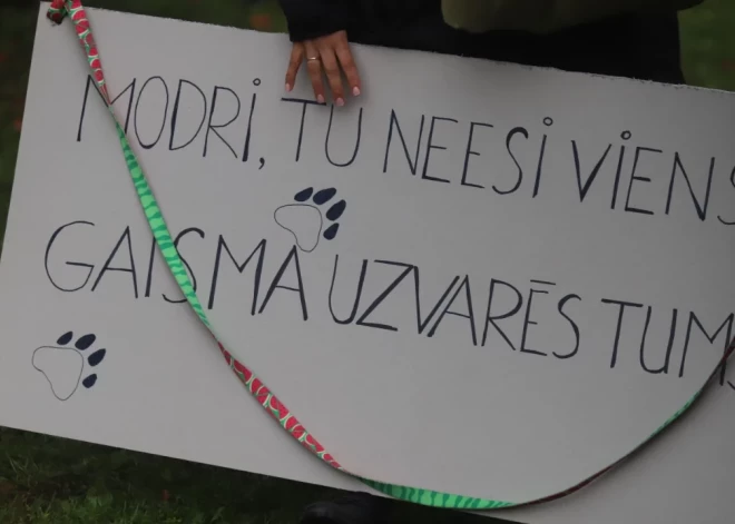 Bauskas novada dome slēgtajā sēdē vērtēs policijas rīcību saistībā ar Modra Konovalova suņu nošaušanu