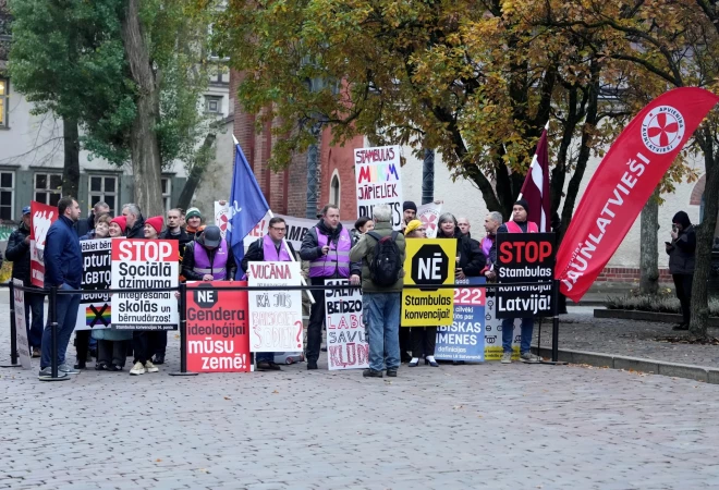 Около 20 человек приняли участие в пикете в поддержку денонсации Стамбульской конвенции.