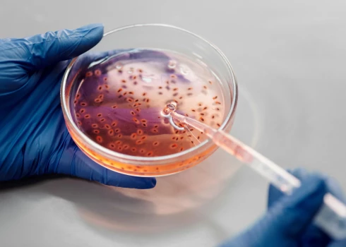 Ilustratīvs attēls.