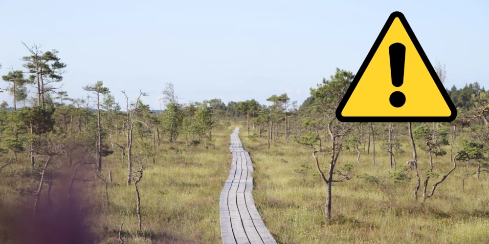 Taku izveidojuši Latvijas valsts meži, un tā ved cauri Dunikas tīrelim – plašam purvam ar vairākām labiekārtotām atpūtas vietām.